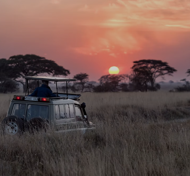 Safari beyond the crowds.