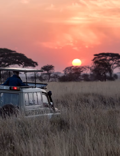 Africa